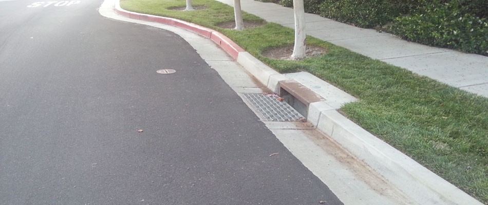 Curb and Gutter Repair